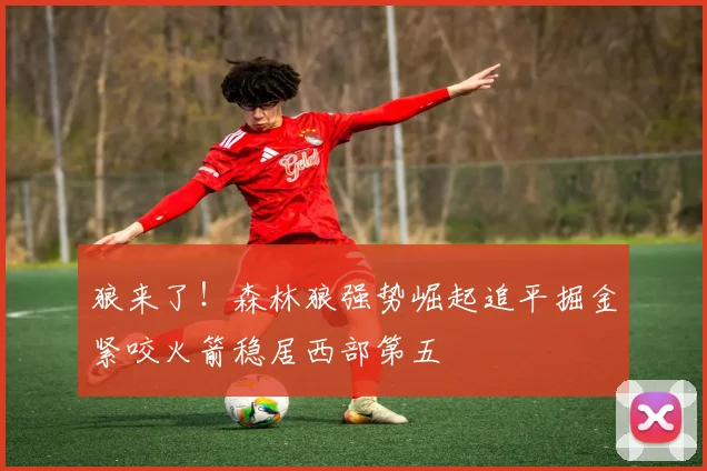 狼来了！森林狼强势崛起追平掘金紧咬火箭稳居西部第五