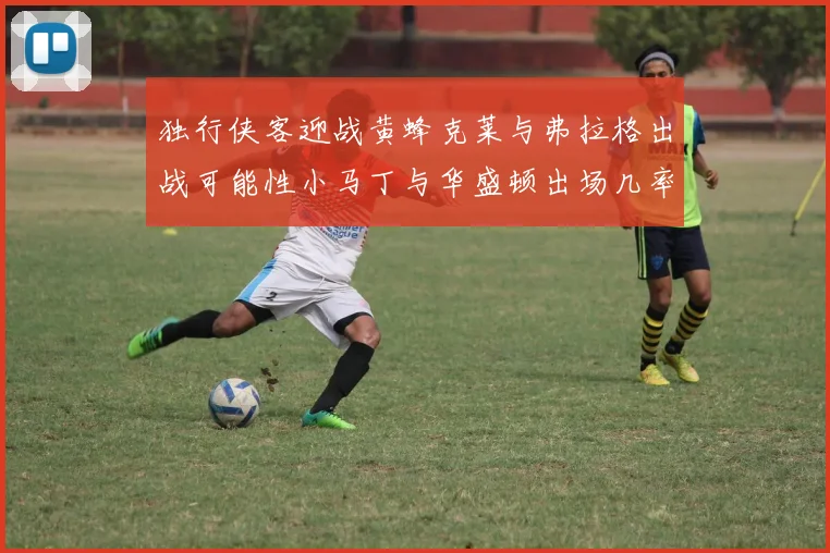 独行侠客迎战黄蜂克莱与弗拉格出战可能性小马丁与华盛顿出场几率高